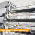 Ein Rahmen Automatischer Huhn-Schicht-Käfig für Verkauf